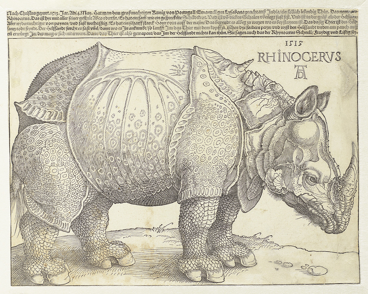 Albrecht Dürer | Rhinocerus (Das Rhinozeros), 1515 | © Albertina, Wien