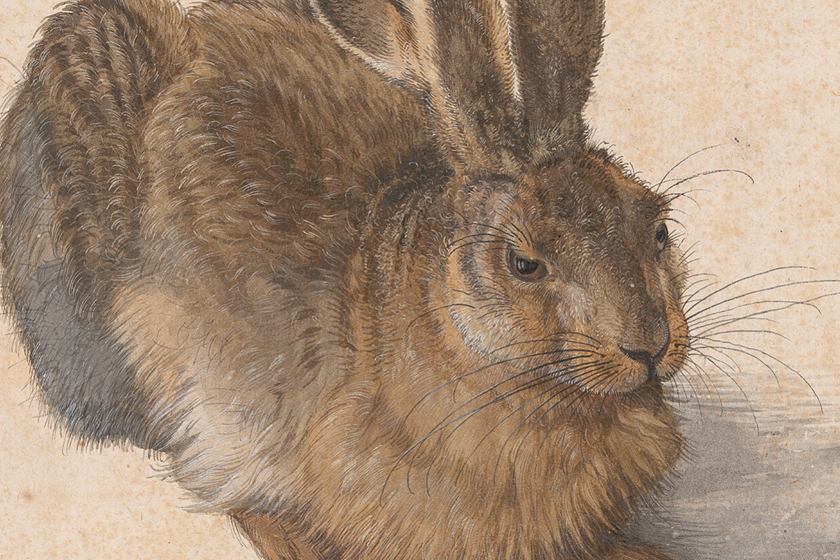Naturgetreue Darstellung eines sitzenden Feldhasen im Profil, braun-graues Fell, Aquarell und Deckfarben auf Papier.