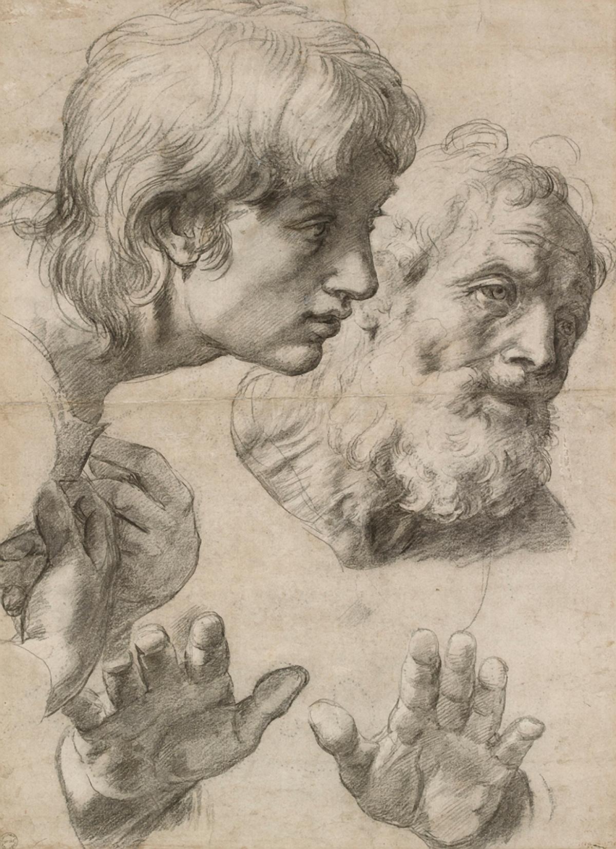 Raphael: Study of head and hand, 1519-20