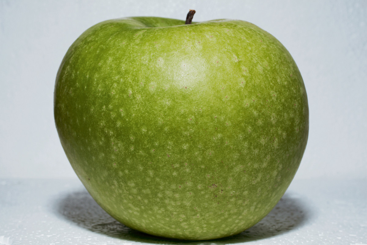 Michael Schmidt: Untitled, from Food, 2006-2010