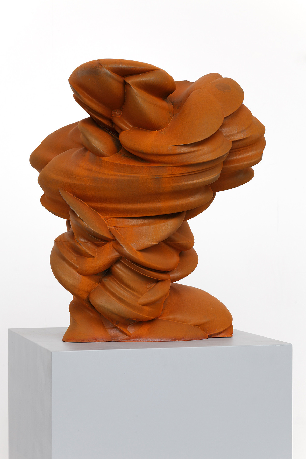 Tony Cragg: Off the Mountain, 2011