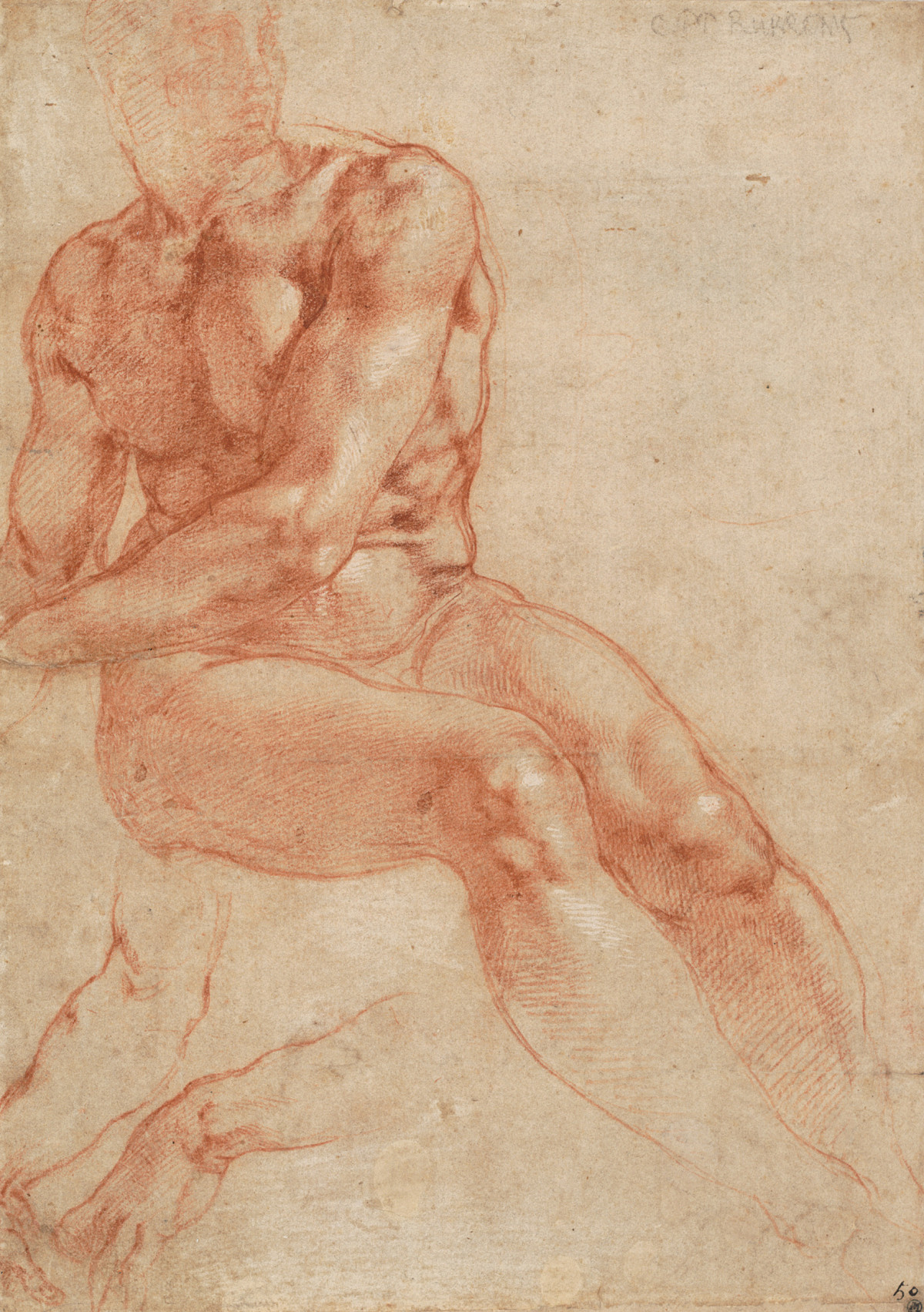 Michelangelo Buonarroti: Seated Nude Youth and Two Arm Studies, 1510/11