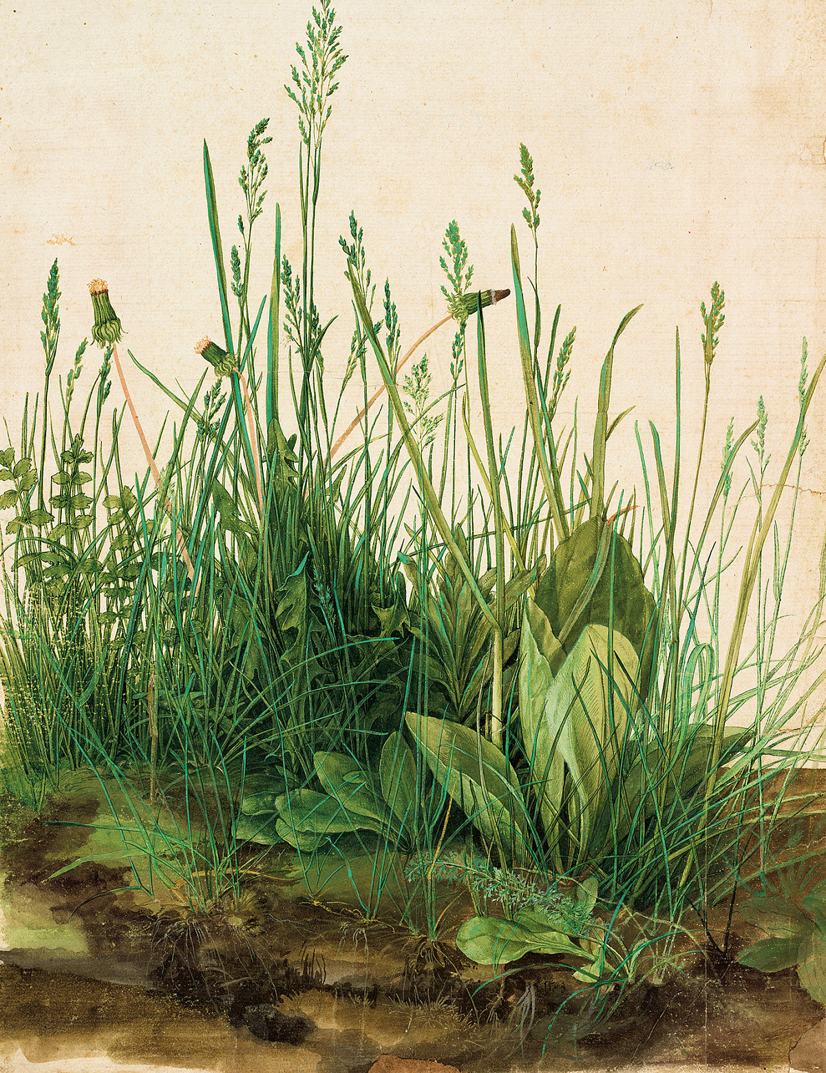Albrecht Dürer: The Great Piece of Turf, 1503, The ALBERTINA Museum, Wien