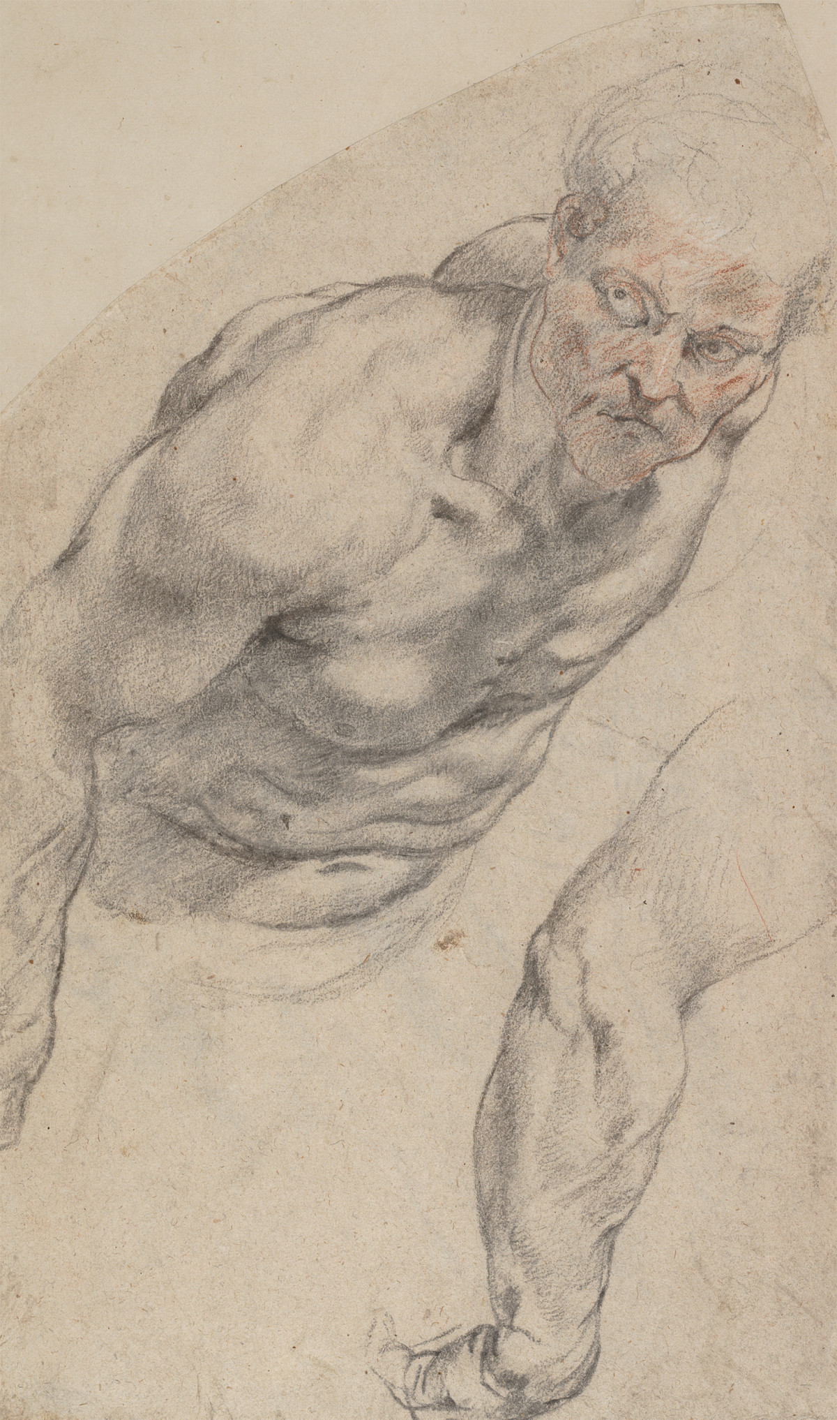 Peter Paul Rubens: Study of a Male Nude Leaning Forward, um 1613