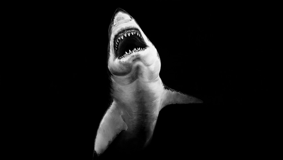 Robert Longo « ALBERTINA Museum Wien