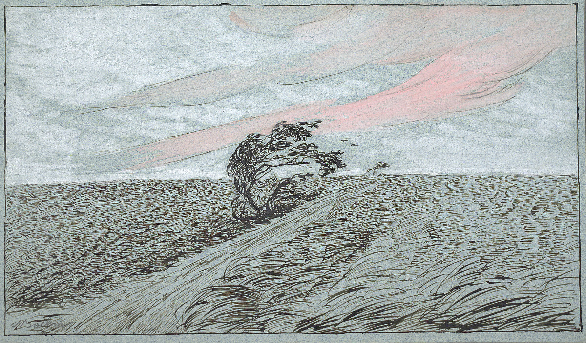 Adolf Böhm: Tree in a storm, 1897