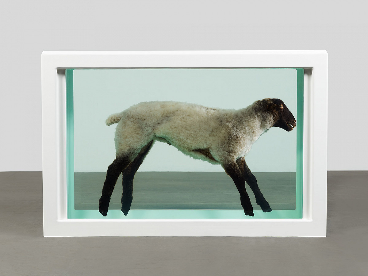 Lamm in einem verglasten Tank in Formaldehydlösung konserviert.