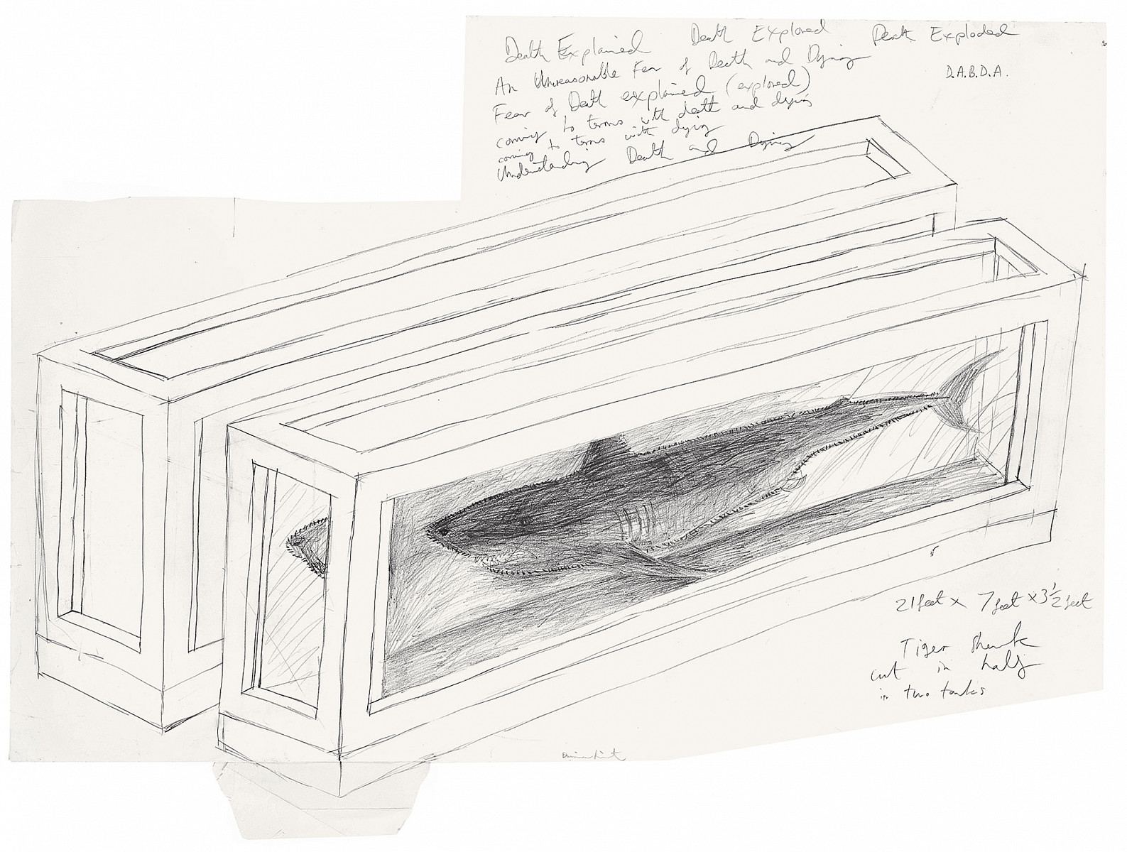Damien Hirst: Untitled (Tiger Shark in Tank), 2003
