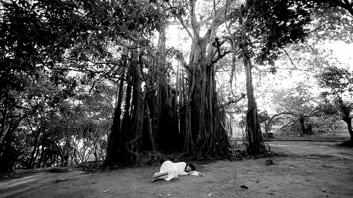 Marina Abramović lies in a white dress under a sprawling banyan tree, surrounded by light and shade.