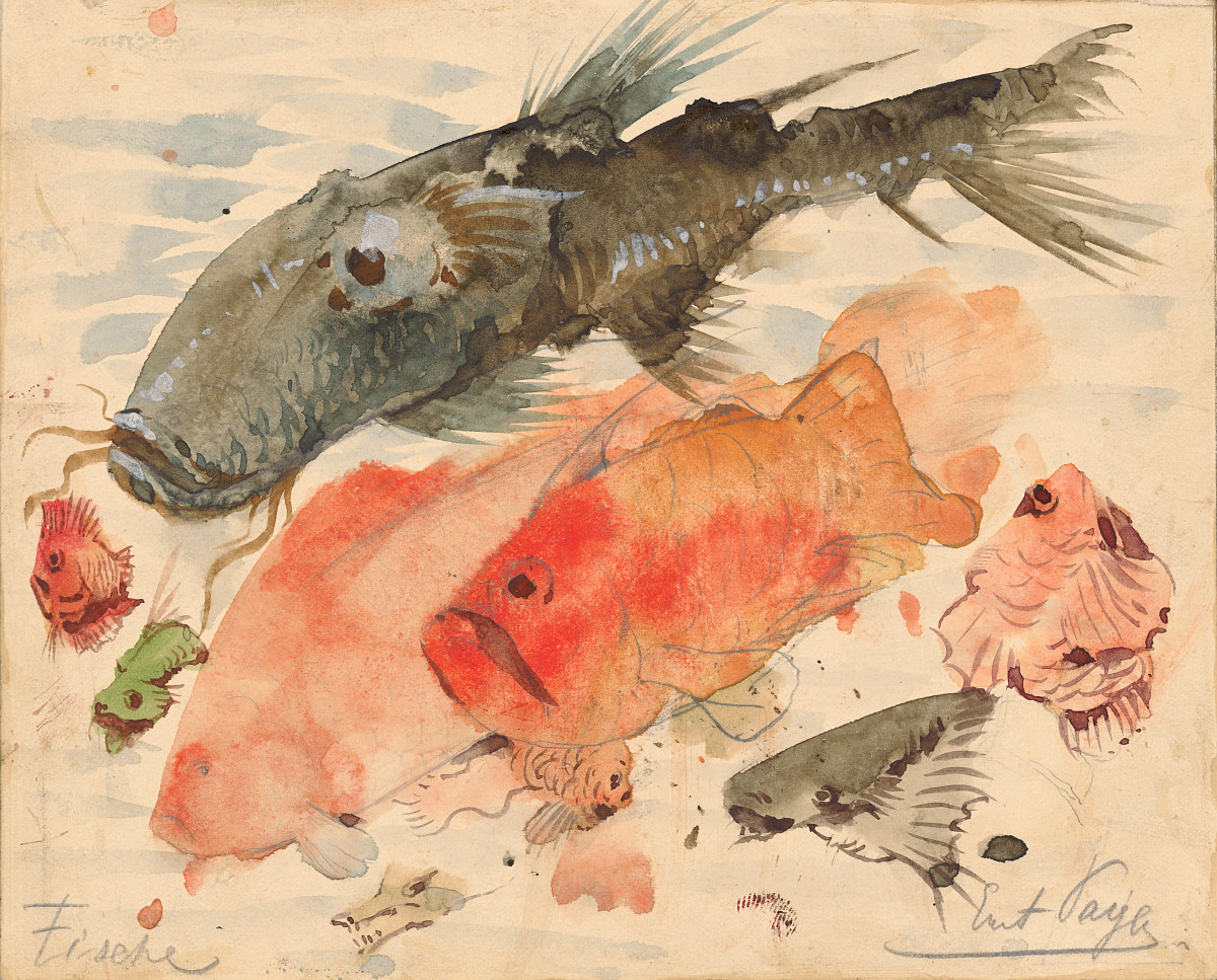 Fische in grau, rot und grün und in verschiedenen Arten und Größen schwimmen dicht aneinander gedrängt.