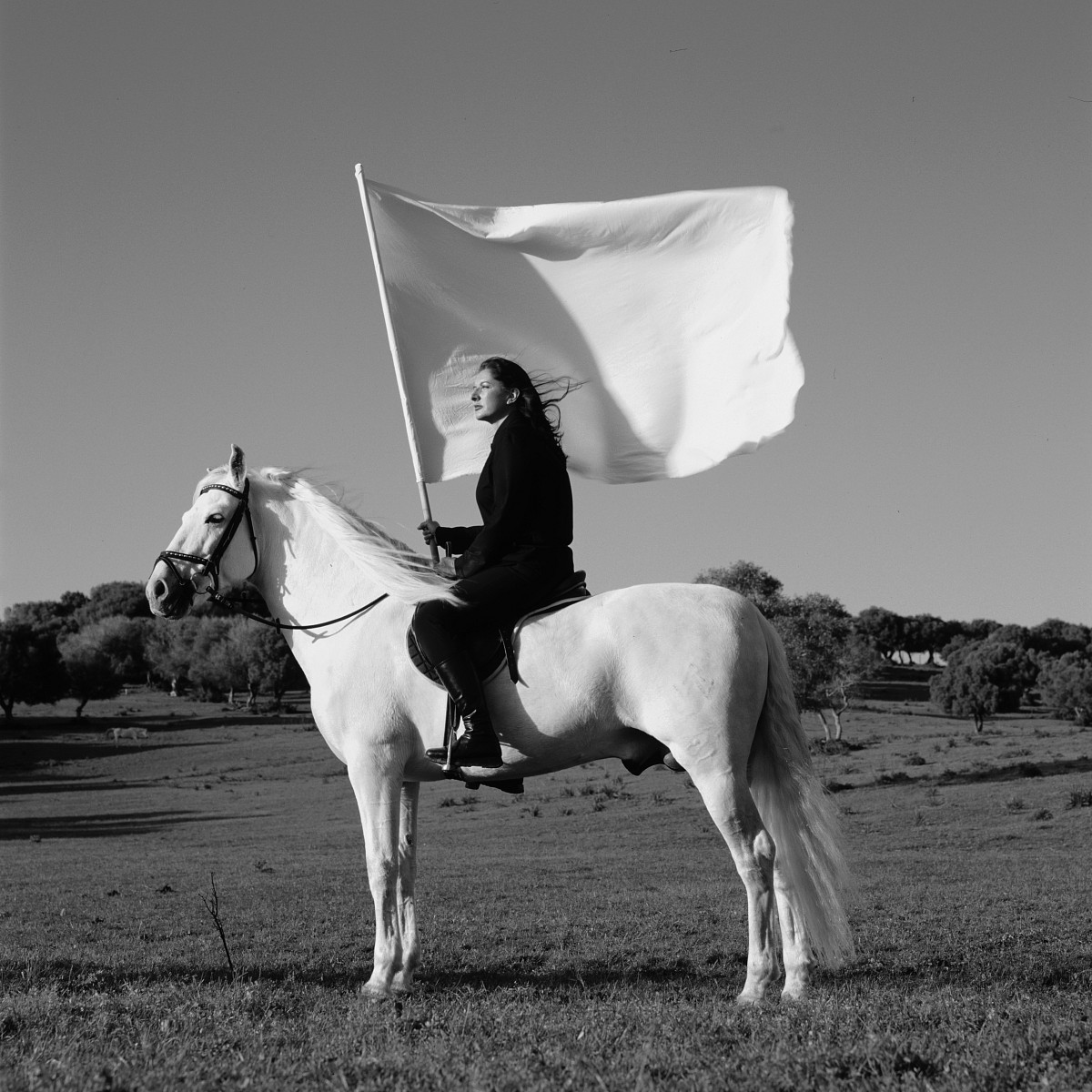 Marina Abramović: The Hero, 2001
