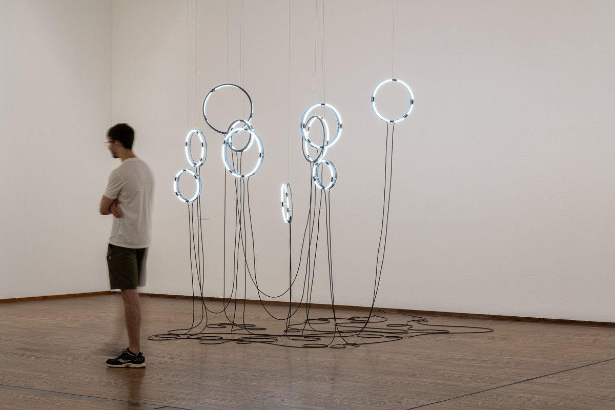 In an exhibition room: Several ring-shaped neon tubes hang from the ceiling, brightly lit and connected by black cables that reach down to the parquet floor. Next to them stands a man looking at the installation.