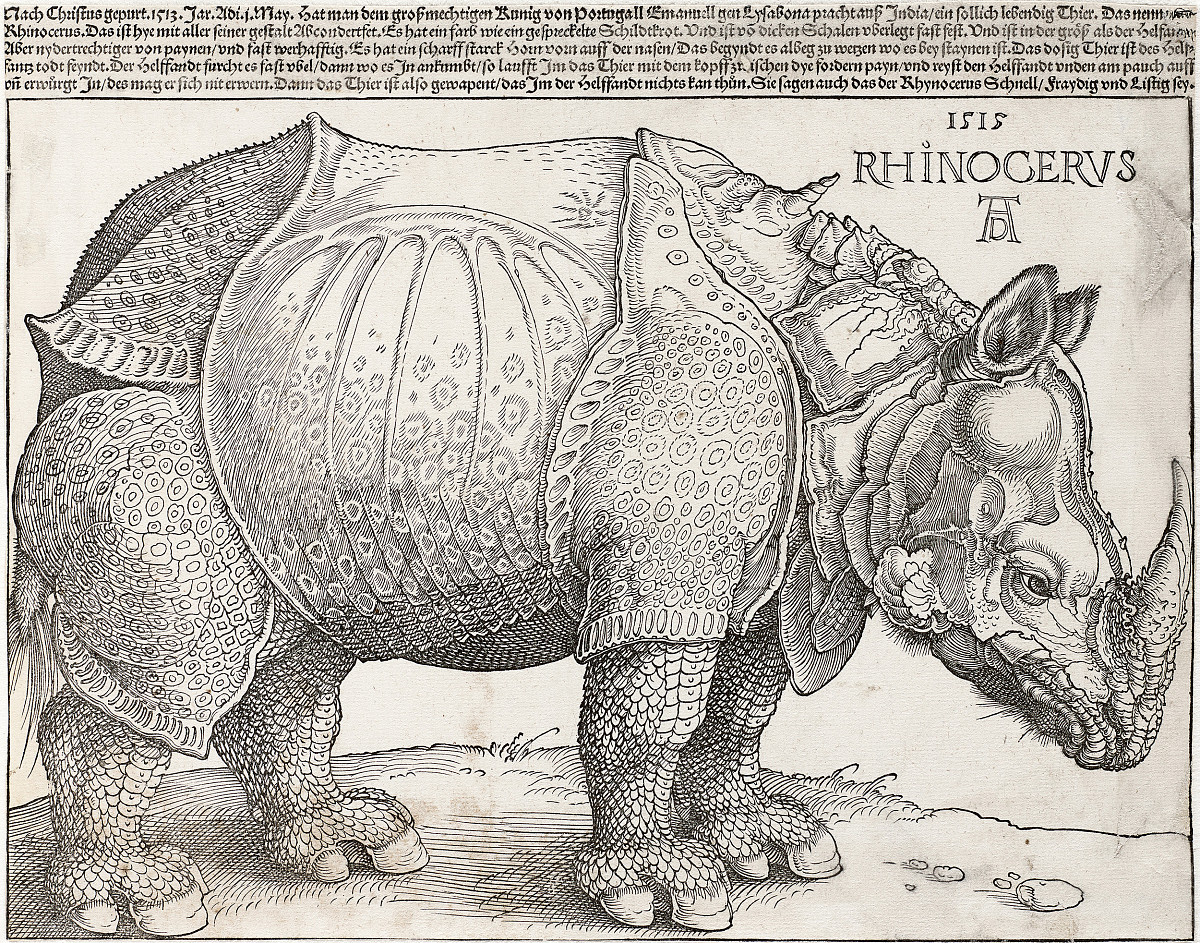 Albrecht Dürer: Rhinoceros, 1515