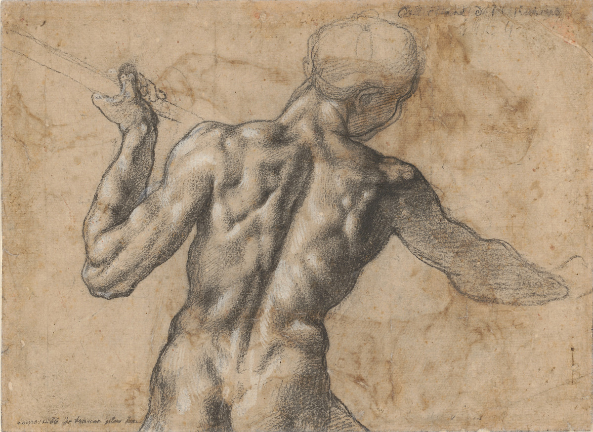 Michelangelo Buonarroti: Male Nude Seen from the Back, c. 1504