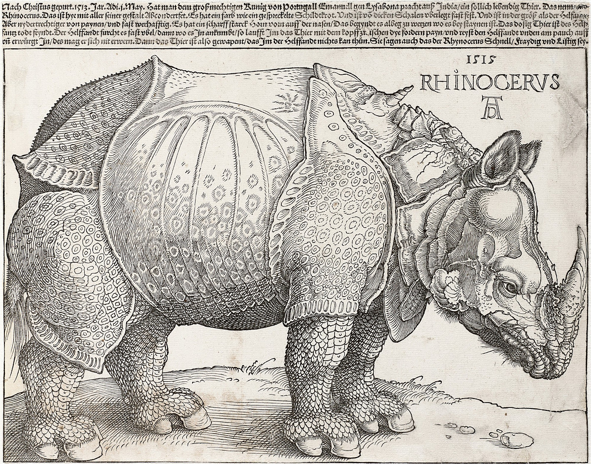 Zeichnung eines Rhinocerus mit einem Panzer der einer Ritterrüstung gleicht. Über dem Tier steht ein Text.