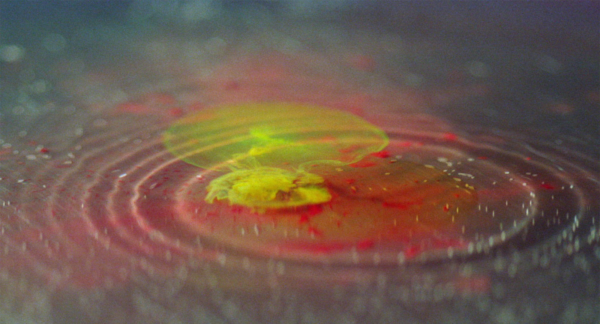 Ein gelber und roter Farbtropfen breitet sich in Wasser aus.