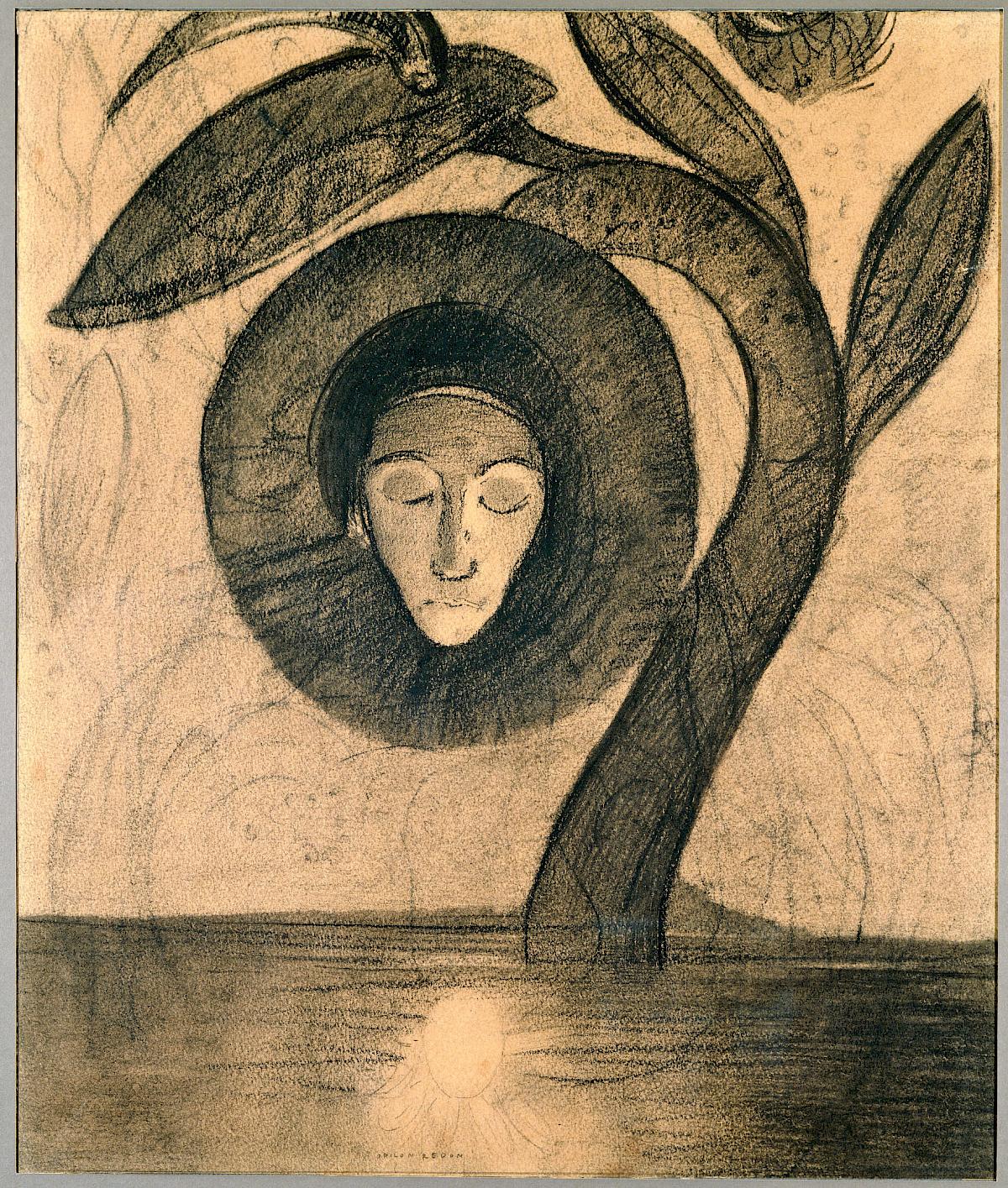 Odilon Redon: Limnanthes, ca. 1884/85 