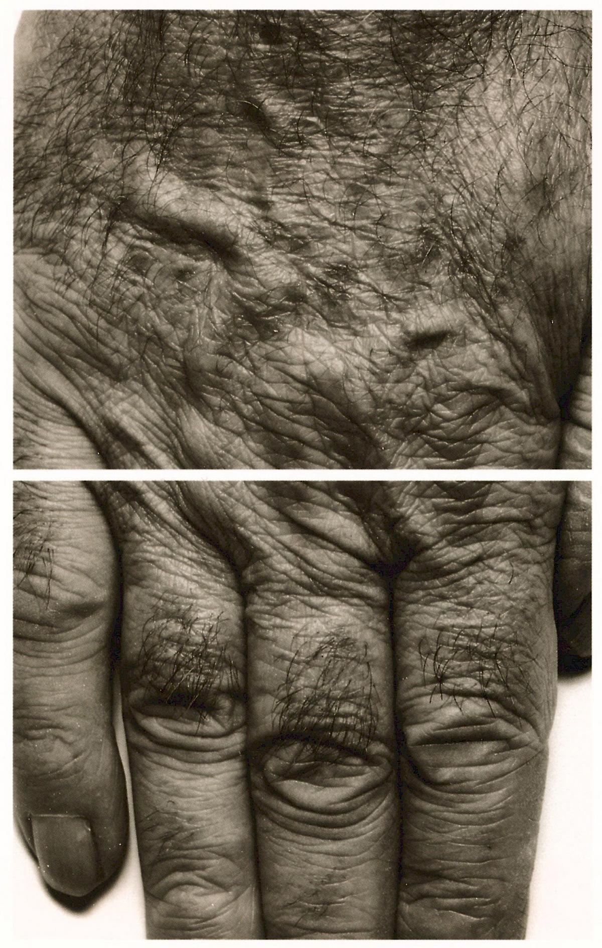 John Coplans: Self Portrait (Hands), 1988