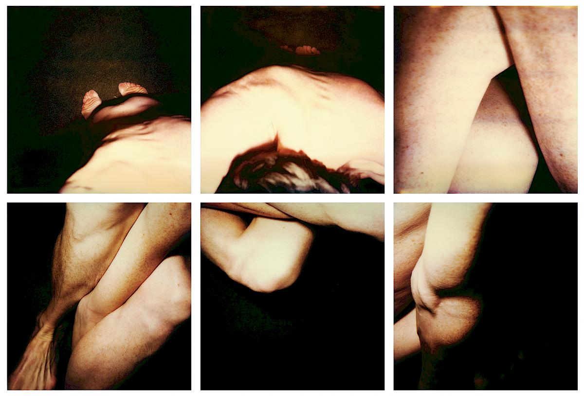 Hannah Villiger: Block XXX, 1993-1994