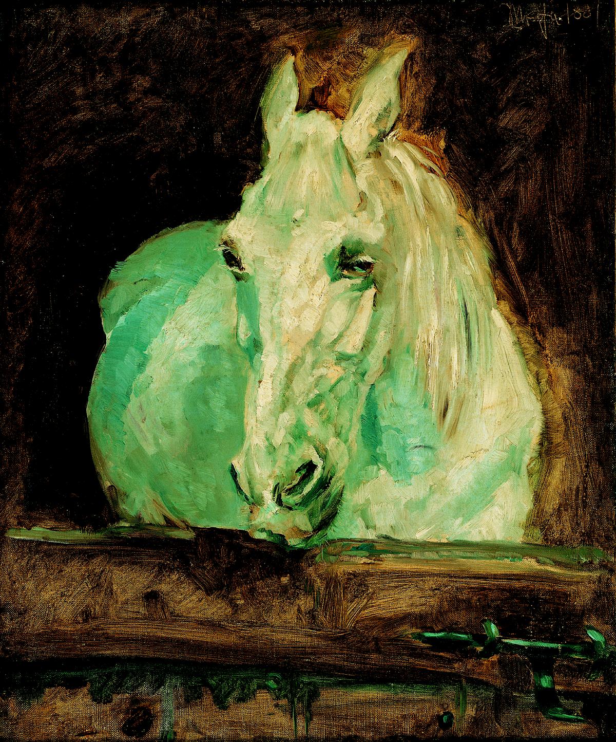 Henri de Toulouse-Lautrec: White Horse „Gazelle“, 1881