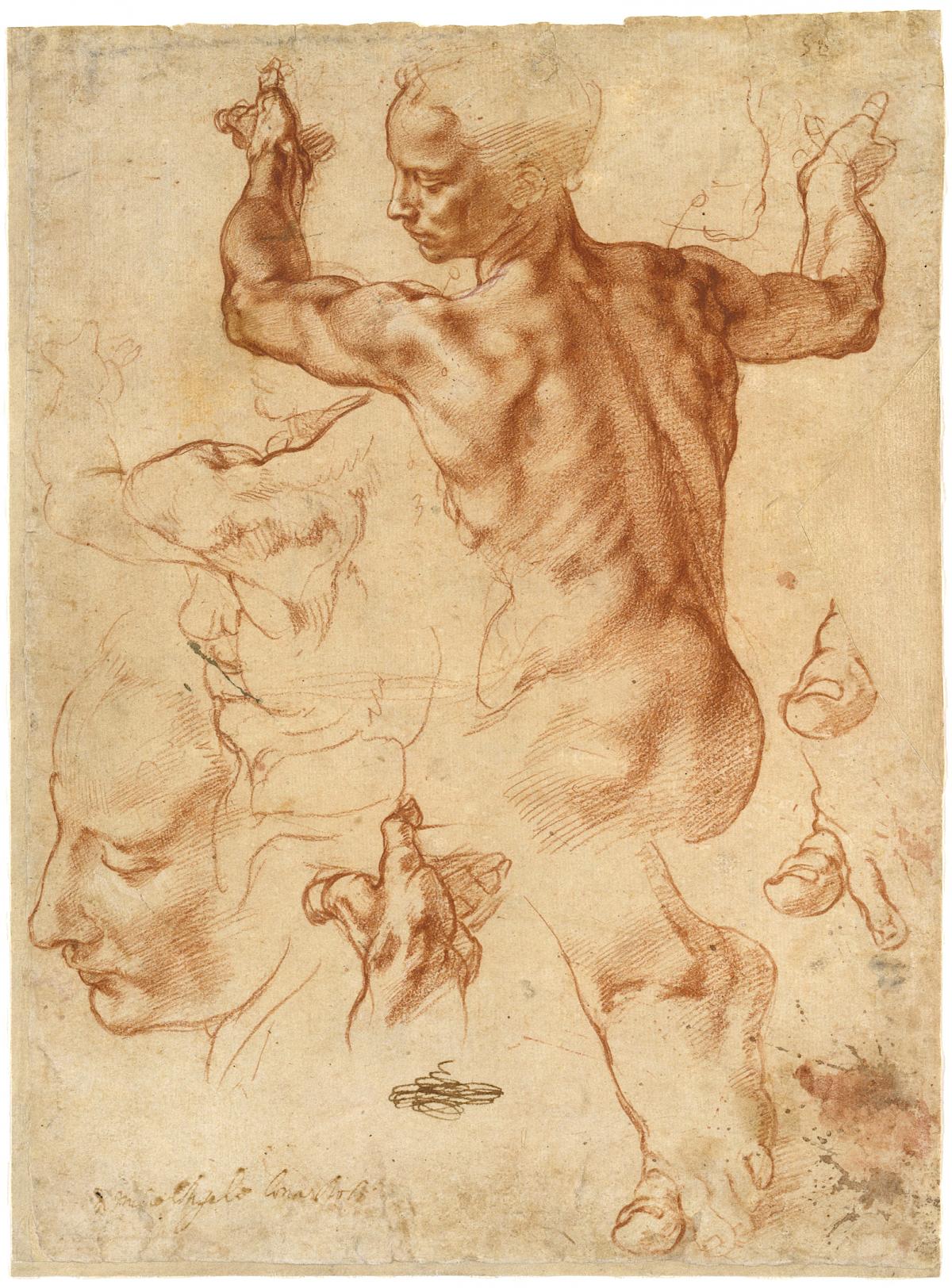 Michelangelo: Studien für die »Libysche Sibylle« (Recto), 