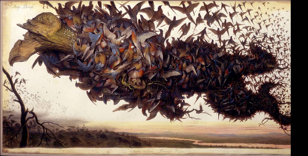 Walton Ford « ALBERTINA Museum Wien