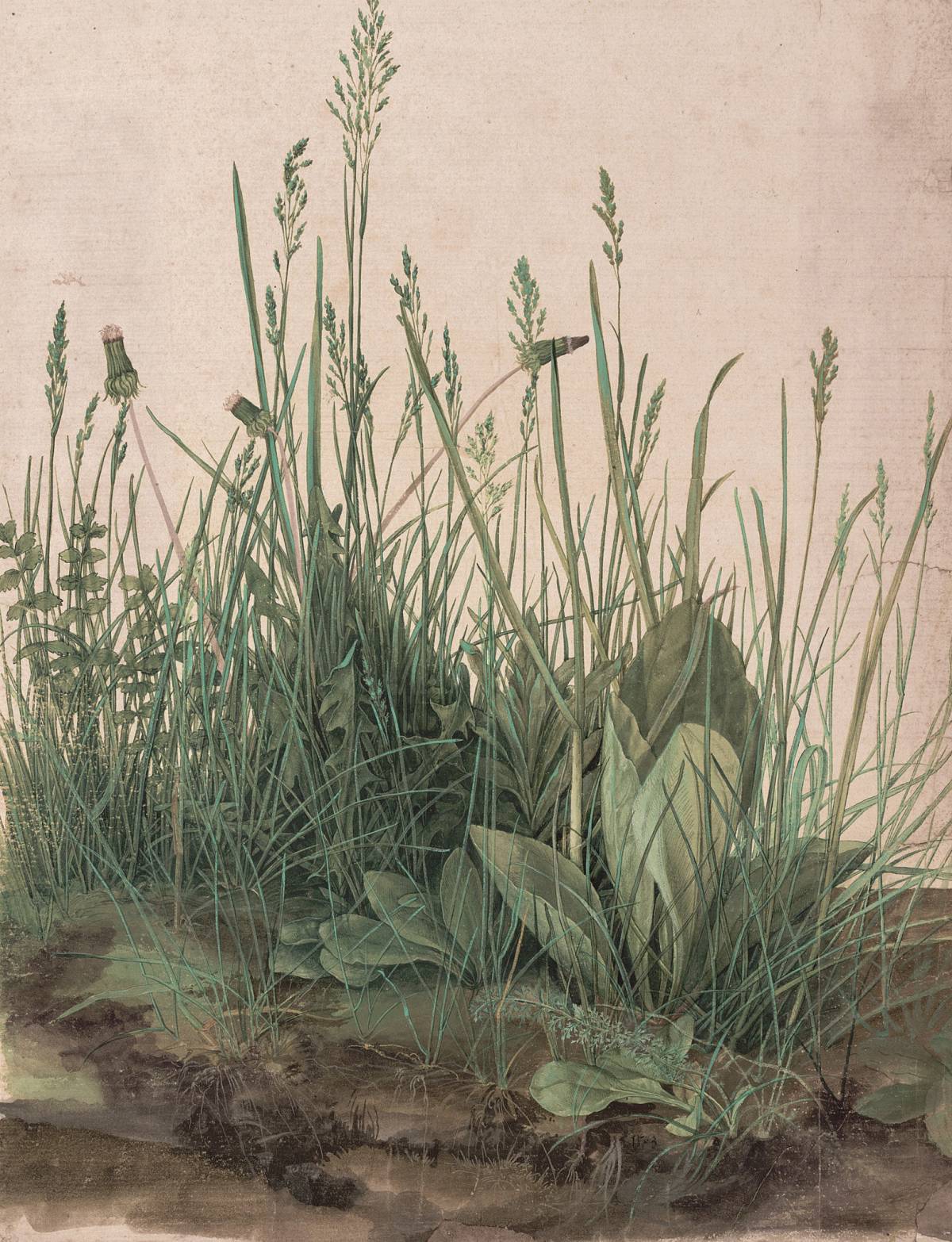 Albrecht Dürer: The Great Piece of Turf, 1503