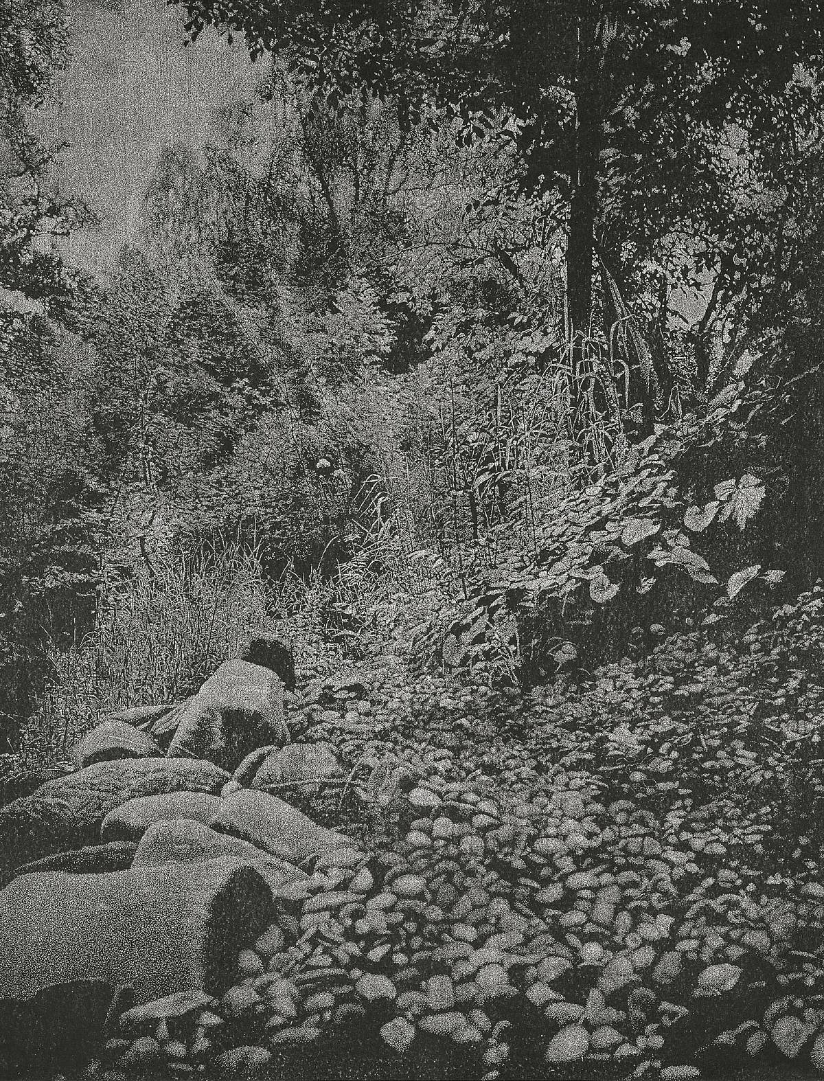 Franz Gertsch: Rüschegg, 1988/89