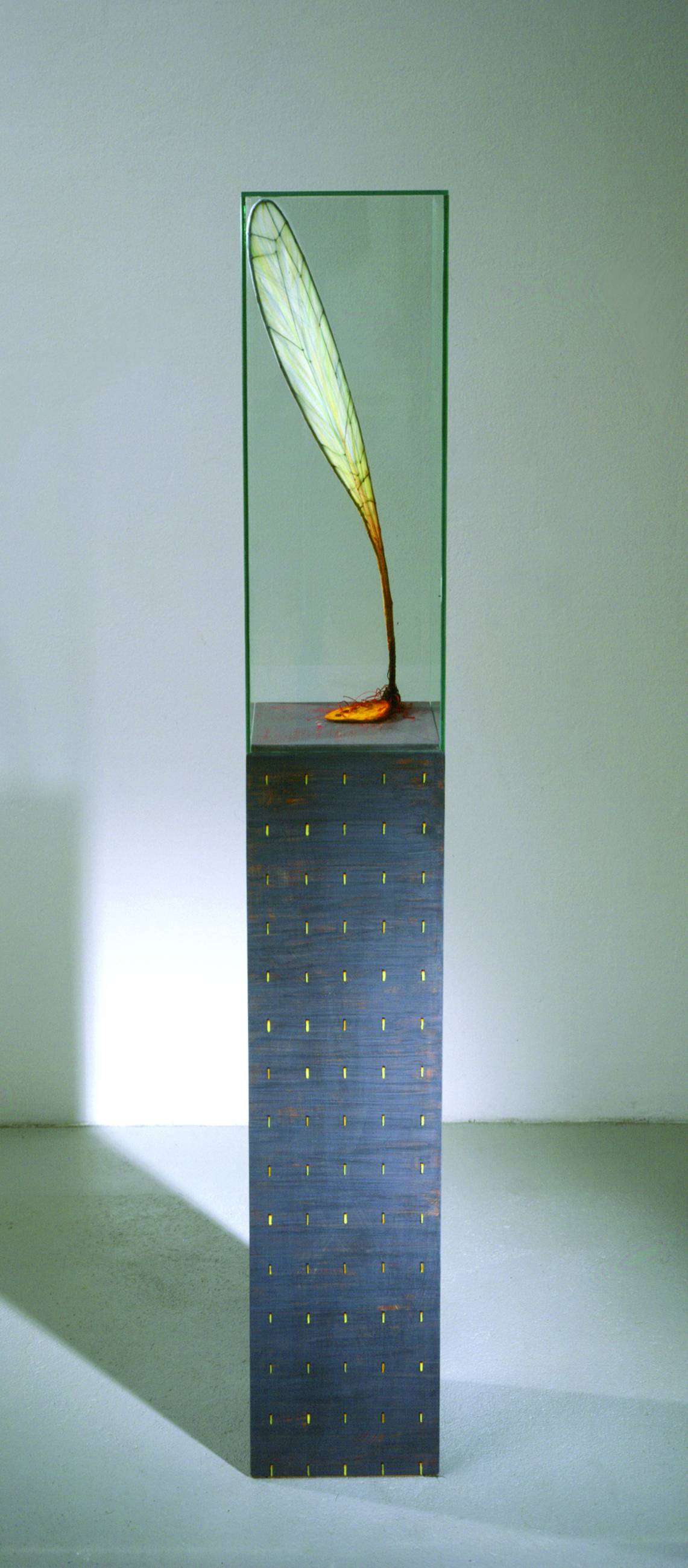 Walter Schmögner: Kleiner Flügel mit ausgerissenem Schulterblatt, 1999