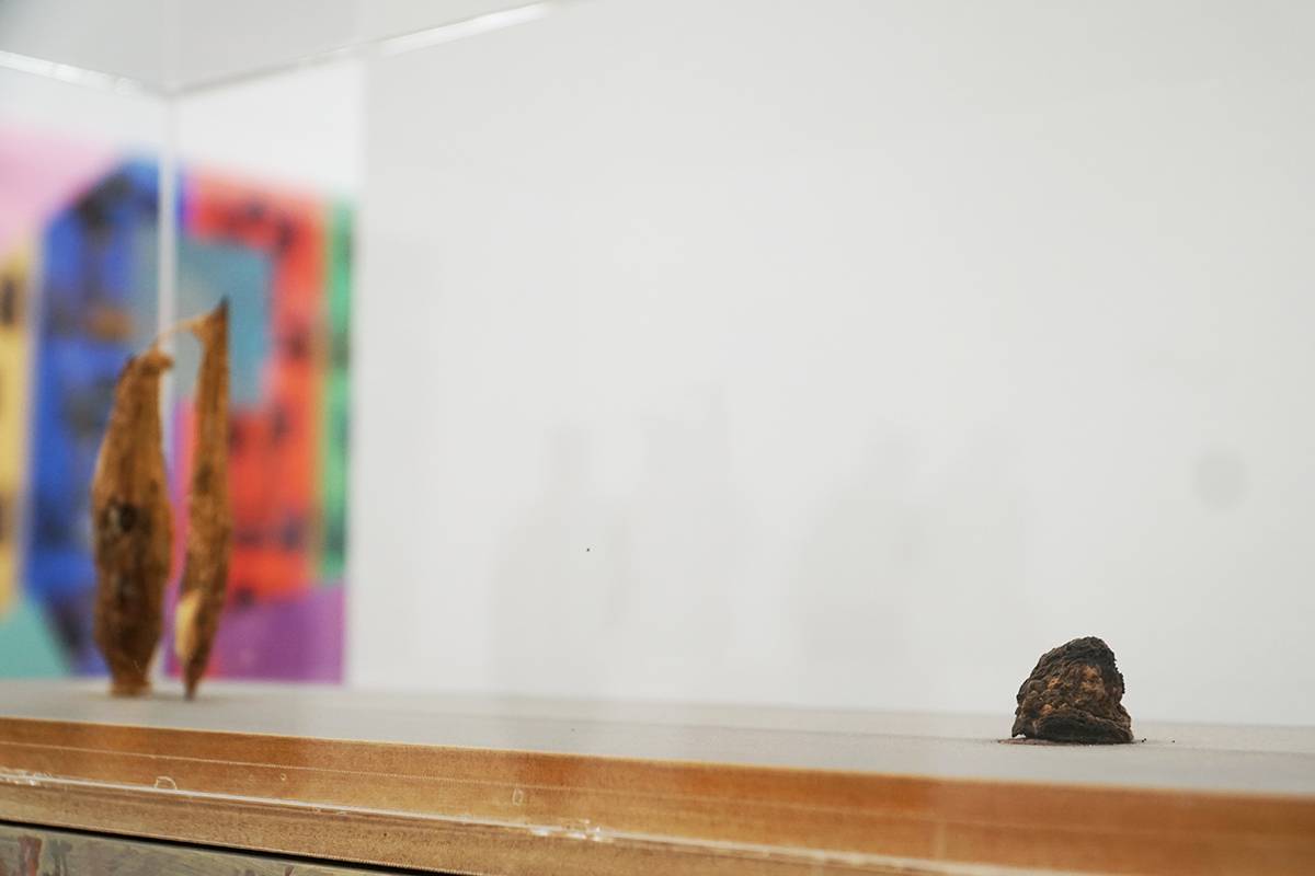 Walter Schmögner: Zwei verliebte Zucchini mit einsamer Marille, 2000