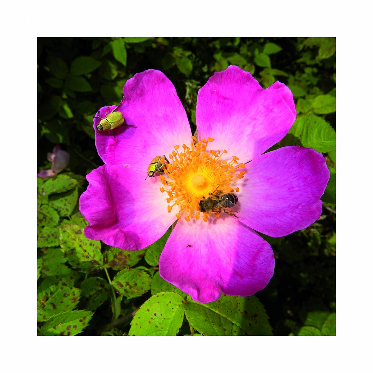 Manfred Willmann: Untitled, from the series „2018/2017“, 2017/2018