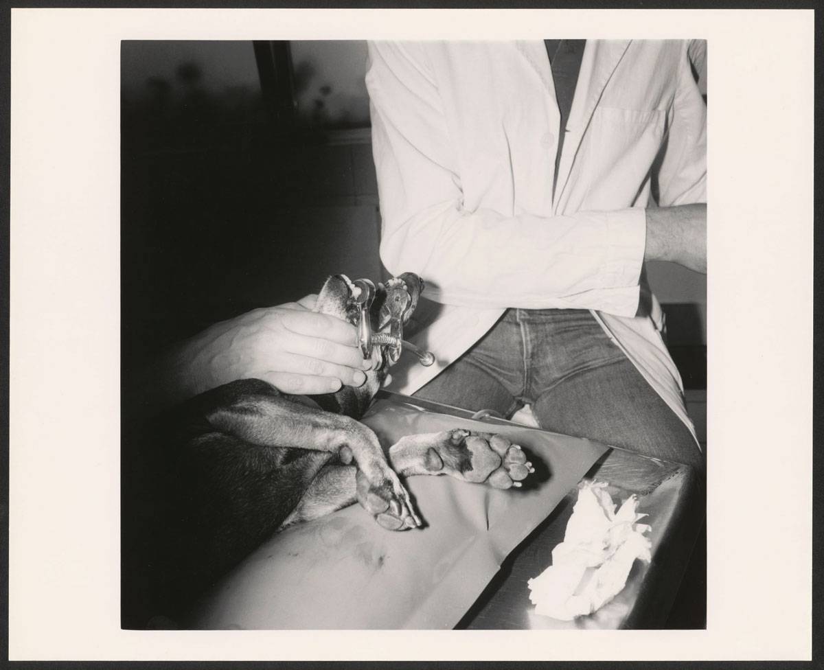 Christian Wachter | Ohne Titel ( aus der Serie "Acedia"), 7.1985 | Vintage-Print auf Barytpapier (von 6x6cm Negativ) | Darstellung: 36,1 × 36,1 cm Fotopapier: 38 × 49,5 cm (14 15/16 × 19 1/2 in.) | Albertina, Wien. Erwerbung aus Mitteln der Galerienförderung des BMUKK 2018 © Bildrecht, Wien, 2019