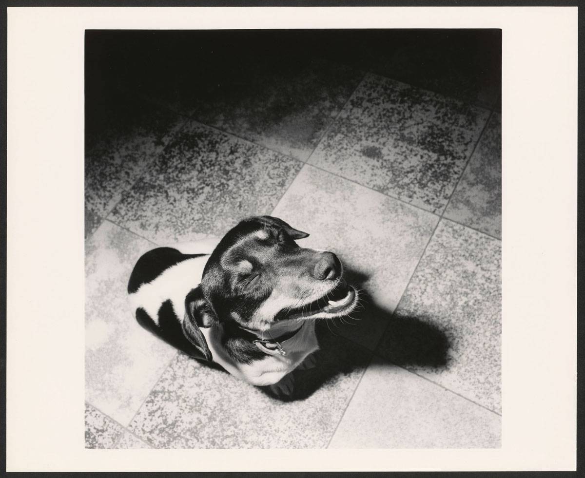 Christian Wachter | Ohne Titel ( aus der Serie "Acedia"), 11.1985 | Vintage-Print auf Barytpapier (von 6x6cm Negativ) | Darstellung: 36,2 × 36,1 cm Fotopapier: 40 × 49,4 cm (15 3/4 × 19 7/16 in.) | Albertina, Wien. Erwerbung aus Mitteln der Galerienförderung des BMUKK 2018 © Bildrecht, Wien, 2019